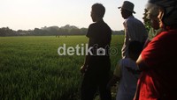 Warga berdatangan untuk melihat bangkai pesawat. Agung Pambudhy/detikcom.