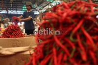 Aktivitas jual beli cabai di Pasar Induk Kramat Jati. Jakarta (25/6/2012).