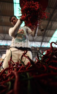 Seorang pedagang menata cabai-cabai yang akan dijual di Pasai Induk Induk Kramat Jati, Jakarta.