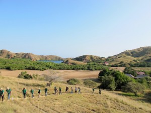 Rinca, Si Cantik yang Gahar