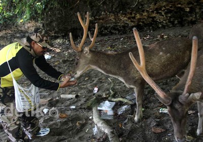 Menikmati Liburan di TWA Pangandaran