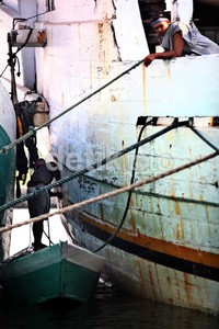 Di sepanjang pelabuhan Sunda Kelapa, tiap harinya berjejer kapal-kapal Pinisi atau Bugis Schooner.