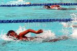 Kejuaraan Renang Kelompok Umur Digelar