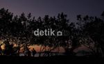Menikmati Sunset di Flores