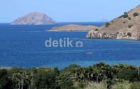 Taman Nasional tersebut terdiri dari 3 pulau utama atau pulau yang sedikit besar yaitu Pulau Komodo, Pulau Rica, dan Pulau Padar. Budi Sugiharto/detikcom.