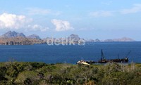 Dari bukit Pulau Komodo, pemandangan elok bisa bisa dinikmati. Budi Sugiharto/detikcom.