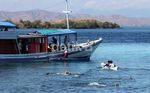 Mengunjungi Pulau Komodo