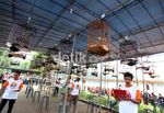 800 Burung Berkicau Ramaikan Fauzi Bowo Cup