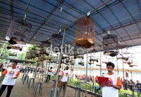 Para juri melakukan penilaian pada ratusan burung yang mengikuti lomba burung berkicau Fauzi Bowo Cup 2012.