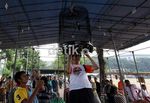 800 Burung Berkicau Ramaikan Fauzi Bowo Cup