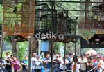 800 Burung Berkicau Ramaikan Fauzi Bowo Cup