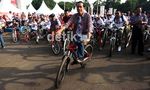 Fun Bike Pasukan Kotak-kotak