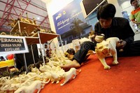 Seorang pengrajin tengah memmperagakan cara membuat miniatur macan.