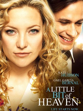 A Little Bit of Heaven, Cinta Dokter dan Pasien Pengidap Kanker