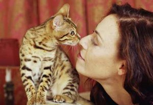 Parasit dari Kucing yang Bikin Orang Jadi Ingin Bunuh Diri