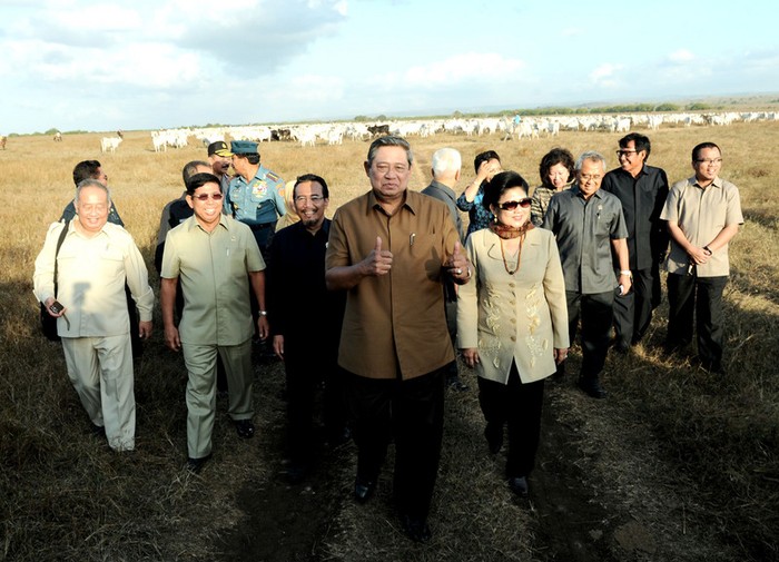 SBY Minta Pemda NTT Pastikan Lahan Investasi Ternak Sapi Tak Bermasalah