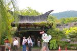 Kupu-kupu Cantik dari Penang, Malaysia