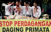 Aktivis beraksi di pintu masuk kantor Kementrian Kehutanan, Jakarta, Rabu (4/7/2012). Menurut aktivis dari ProFauna ini, perdagangan primata untuk dimakan terus meningkat. Hewan yang diburu seperti monyet ekor panjang, kukang, lutung dan siamang.