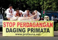 Jenis primata yang paling banyak dikonsumsi adalah monyet ekor panjang, Tidak ada penjagaan polisi dalam aksi ini, hanya memantau dari kejauhan.