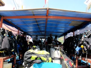 Perkenalan Diving, Yuk Belajar Masuk ke Air!