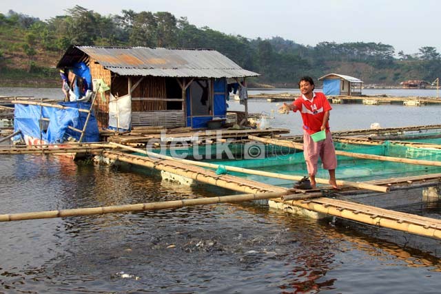 Peluang Tambak  Ikan  Masih Luas