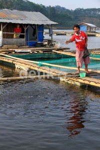Pada 2012 akan dilakukan rehabilitasi/perbaikan saluran primer, sekunder dan tersier pada kawasan tambak seluas 20 ribu ha di enam kabupaten di Provinsi Banten dan Provinsi Jawa Barat.