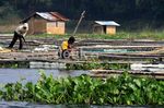 Peluang Tambak Ikan Masih Luas