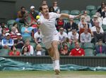 Andy Murray Melaju ke Semifinal Wimbledon