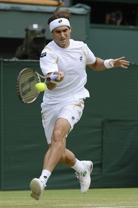 Di awal pertandingan, David Ferrer sempat membuat pendukung tuan rumah khawatir, pasalnya ia mampu merebut set pertama. Namun di 3 set berikutnya ia harus menyerah kalah. REUTERS/Dylan Martinez.