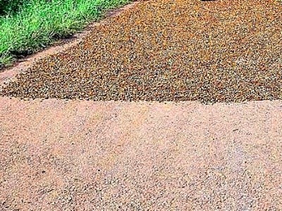 Mau Kopi Enak di Muaraenim? Gilas Dulu Pakai Mobil!
