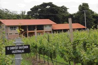 GranMonte Wineyard and Vinery punya Guest house bertarif 3.500 baht (Rp 1.050.000) per malam.