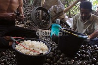 Petani membelah buah atep atau kolang-kaling di Desa Saguling, Kabupaten  Batujajar, Bandung beberapa waktu lalu. Menjelang bulan puasa, petani memproduksi 2 kuintal kolang-kaling perhari.