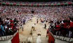 Festival Banteng San Fermin yang Menantang
