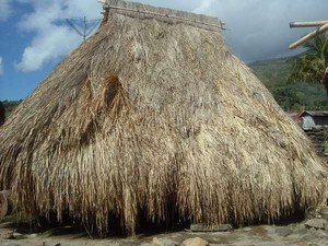 Ini Dia 4 Rumah Adat Paling Unyu di Indonesia