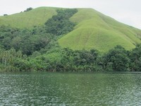 Pegunungan Cyclops punya warna hijau muda dan hijau tua, mirip seperti bukit Teletubbies yang jadi serial favorit anak-anak (Sastri/ detikTravel)