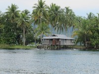 Hosena, salah satu anak Pegunungan Cyclops dan Danau Sentani (Sastri/ detikTravel)