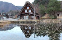 Rumah tradisional di Shirakawa, Prefektur Gifu (Dadan/detikTravel)