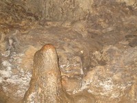 Di tengah gelapnya gua, sebuah batu berbentuk tubular mencuat di pinggiran gua (Putri/detikTravel)