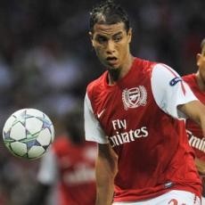 Fiorentina: Chamakh Kemahalan