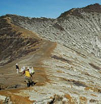 Pemkab Banyuwangi Gelontor Miliaran Rupiah untuk Tour de Ijen