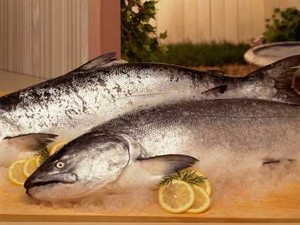 Konsumsi Ikan Di Dunia Terus Meningkat Hingga Tahun 2021