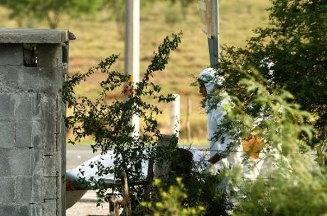 7 Mayat Dimutilasi Kembali Ditemukan di Pinggir Jalanan Meksiko