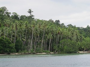 Sawingrai, Desa Cantik di Raja Ampat
