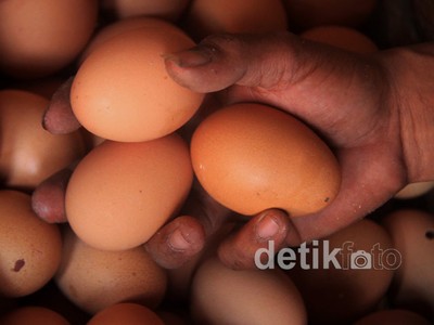 Jelang Ramadan, Harga Telur Melejit