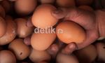 Jelang Ramadan, Harga Telur Melejit