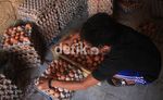 Jelang Ramadan, Harga Telur Melejit