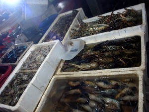 Kuliner Seafood Lezat dan Murah di Kedonganan, Bali