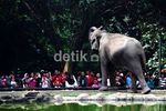 Asyik, Hari Ini Masuk Ragunan Gratis