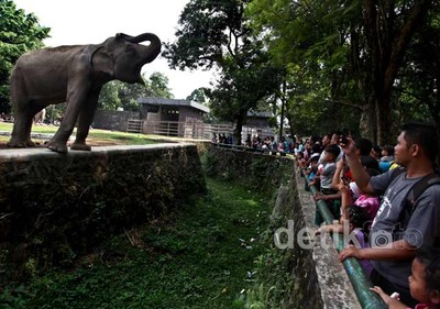 Asyik, Hari Ini Masuk Ragunan Gratis