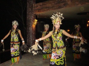 Lenggak-lenggok Aduhai Penari Burung Enggang
